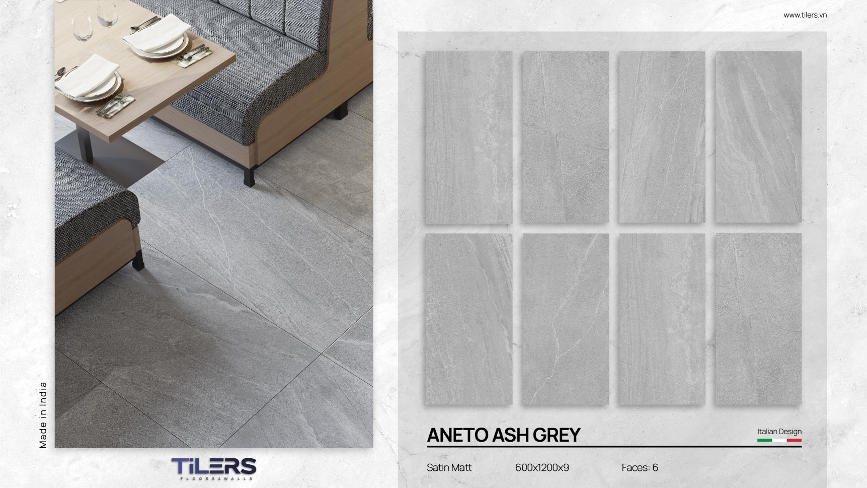 ANETO ASH GREY - SATIN MATT 0612 (2)