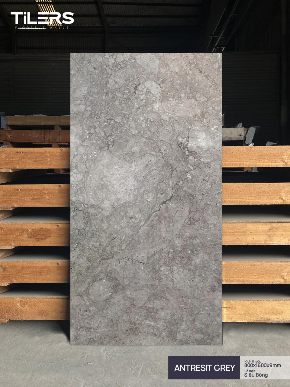ANTRESIT GREY - HIGH GLOSSY 0816 (01)