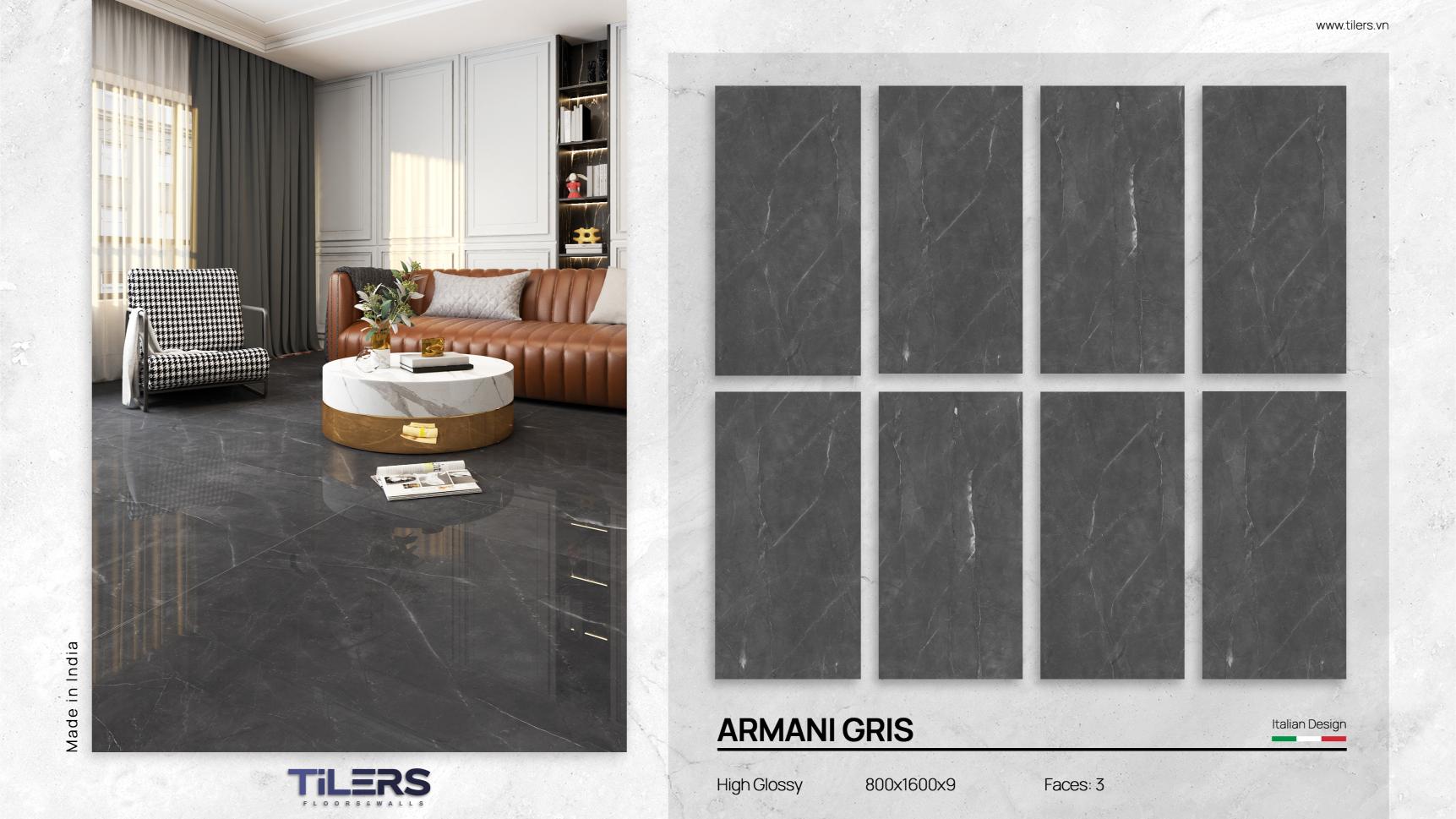 ARMANI GRIS - HIGH GLOSSY 0816 (2)