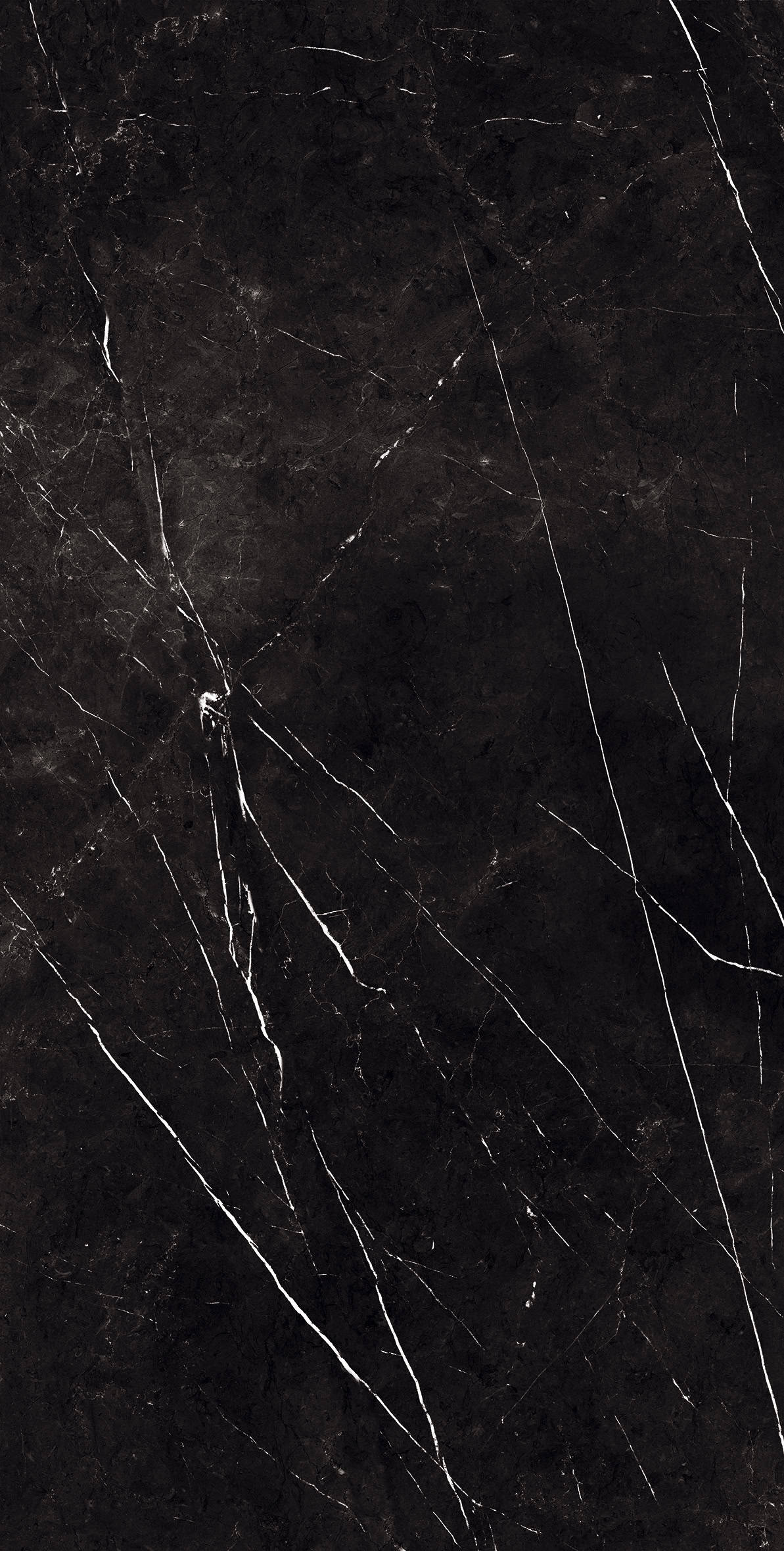 BLACK CARNIVAL-2