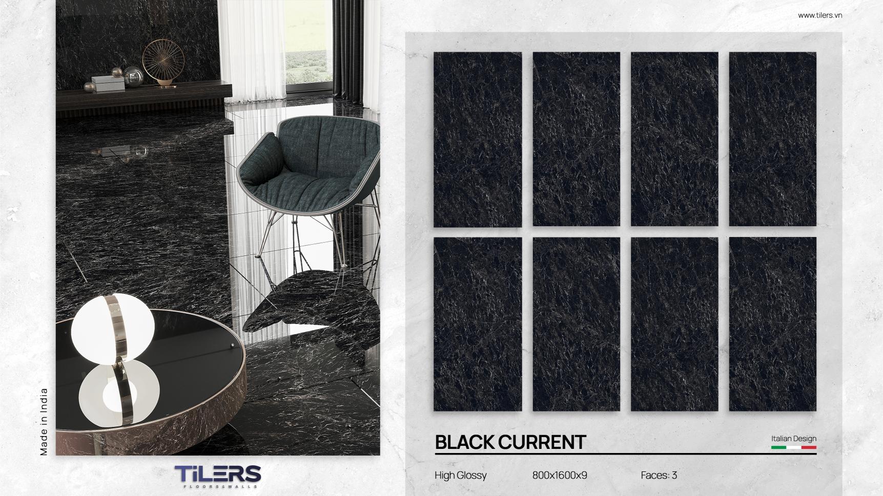 BLACK CURRENT - HIGH GLOSSY 0816 (2)