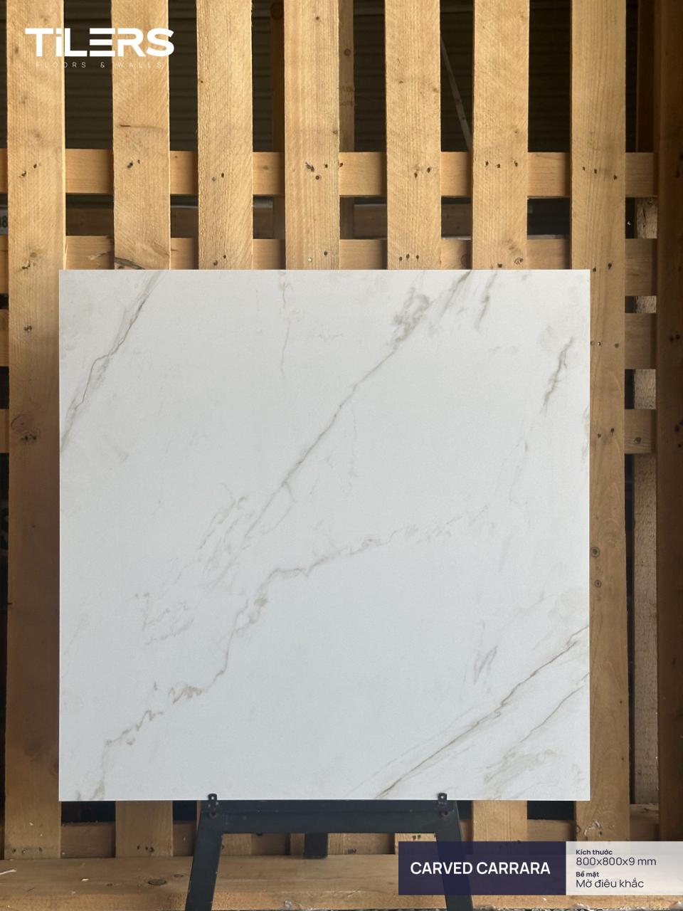 CARVED CARRARA - MATT CE 0808 (1)