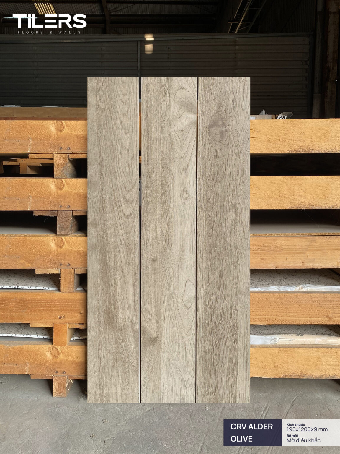 CRV ALDER OLIVE - CARVING MATT 0112 (1)