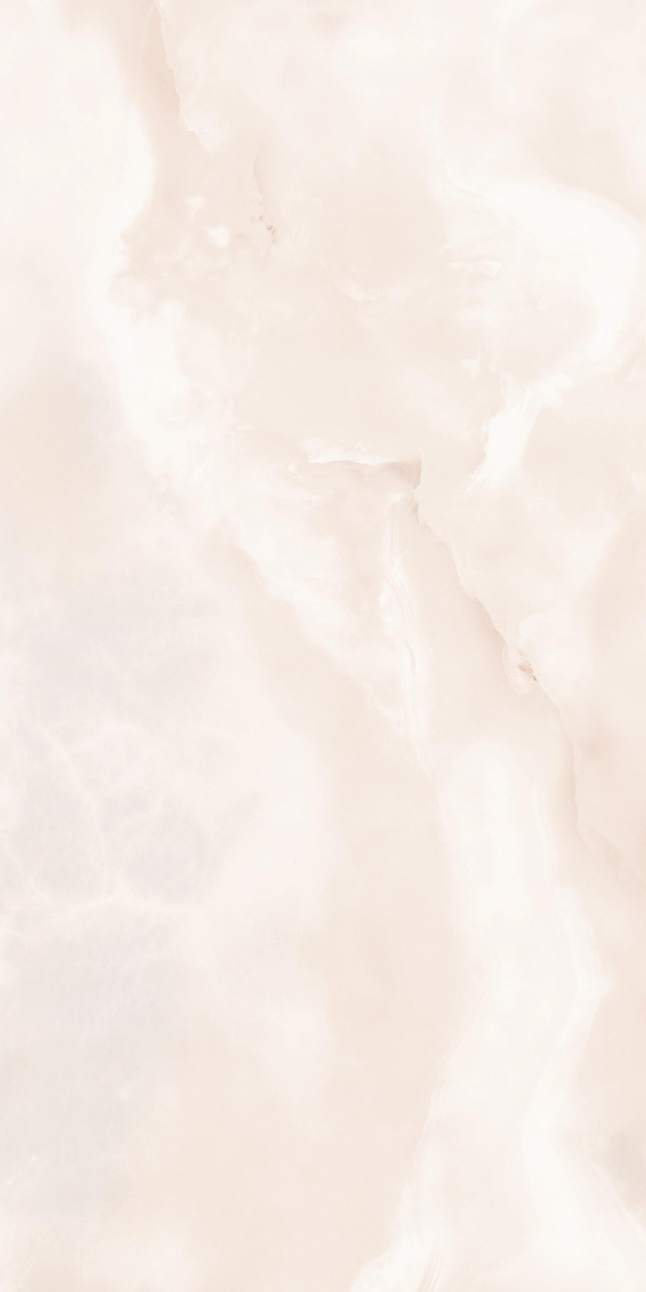 HONEY ONYX_R5