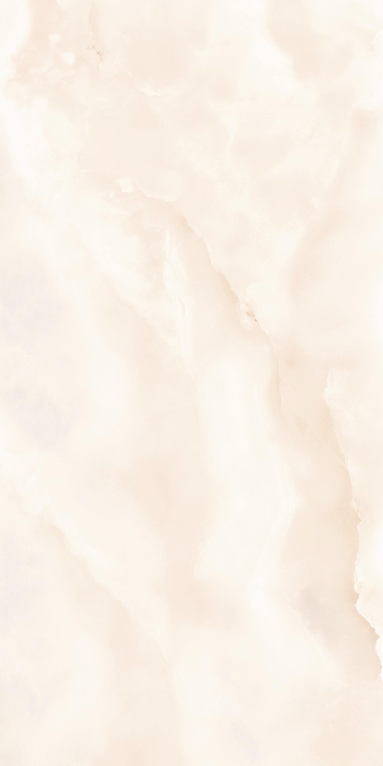 HONEY ONYX_R6