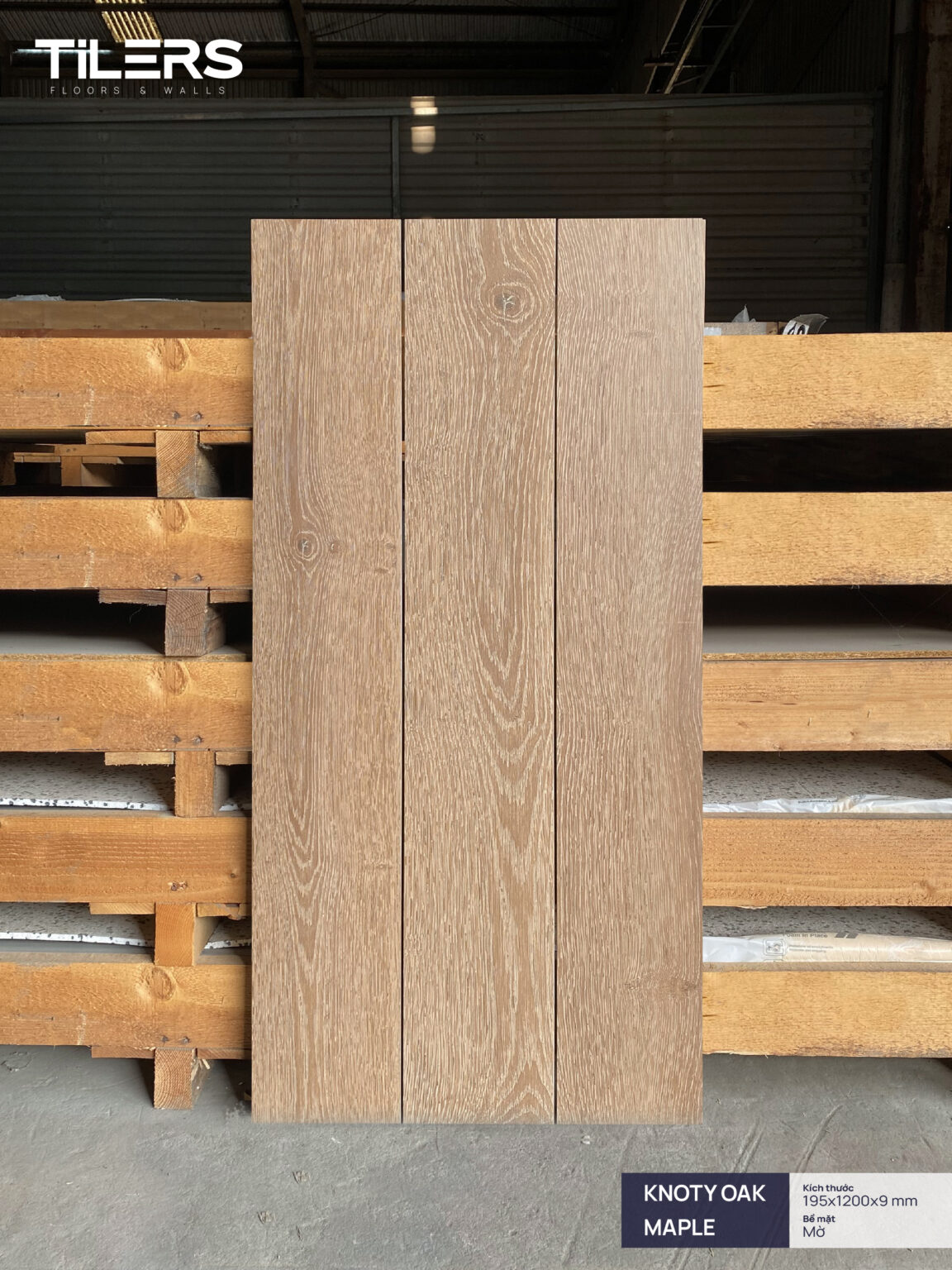 KNOTY OAK MAPLE - MATT 0112 (1)