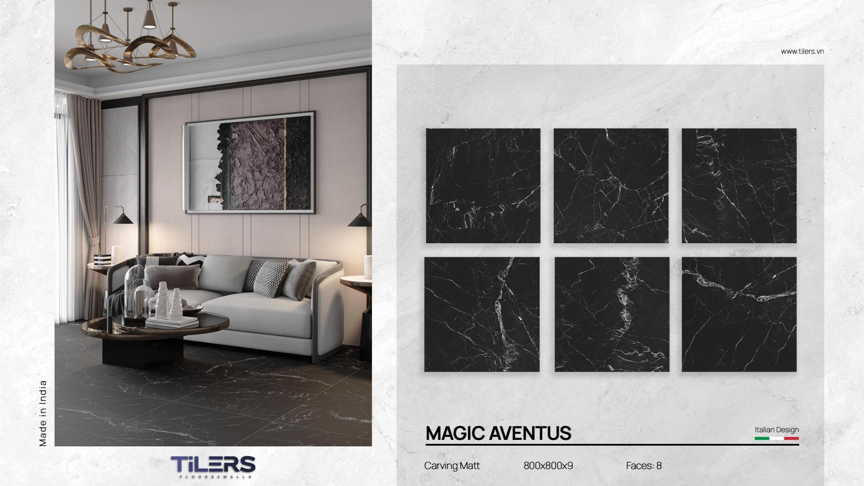 MAGIC AVENTUS - MICROCID 0808 (2)
