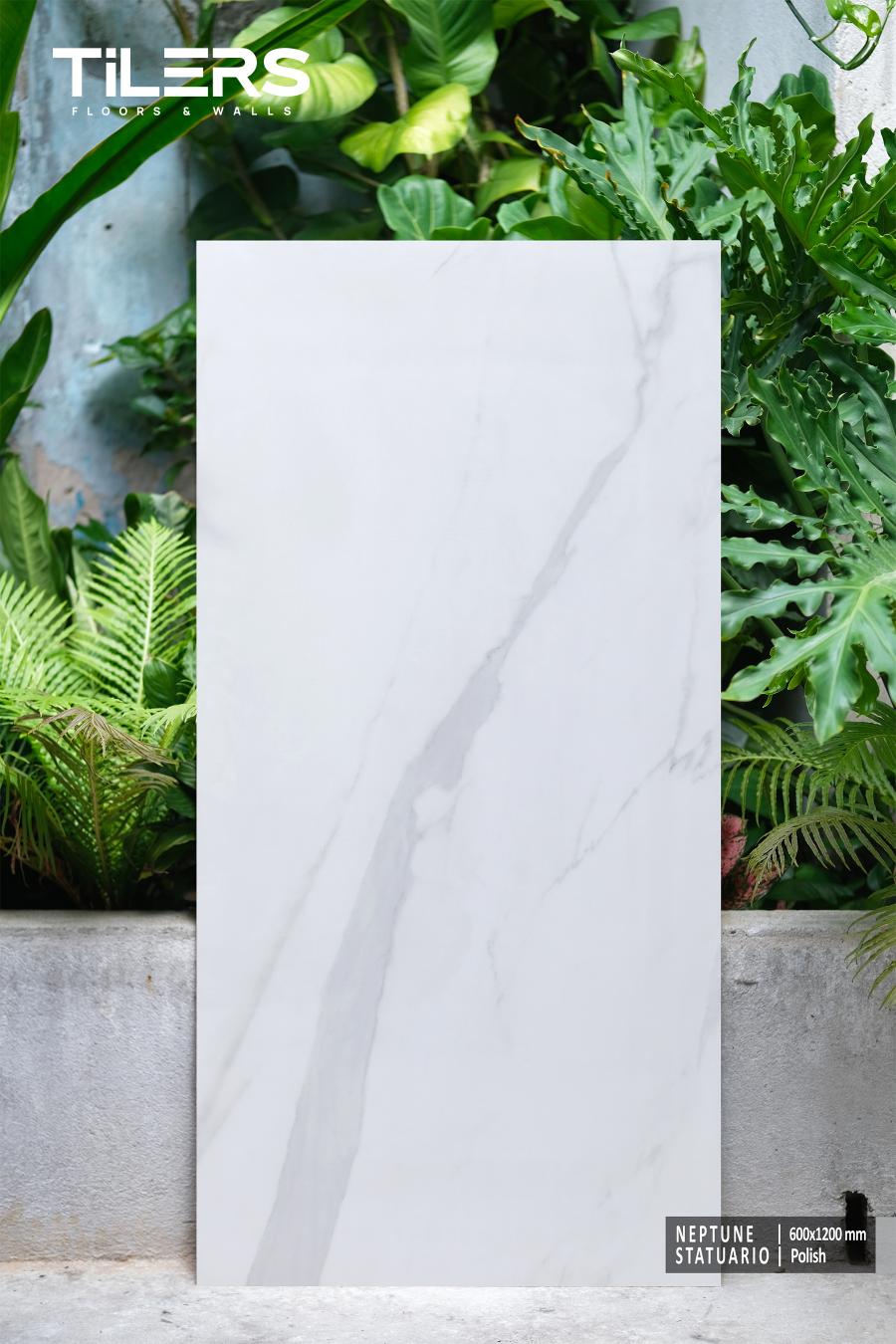 NEPTUNE STATUARIO - POLISH 0612 (1)