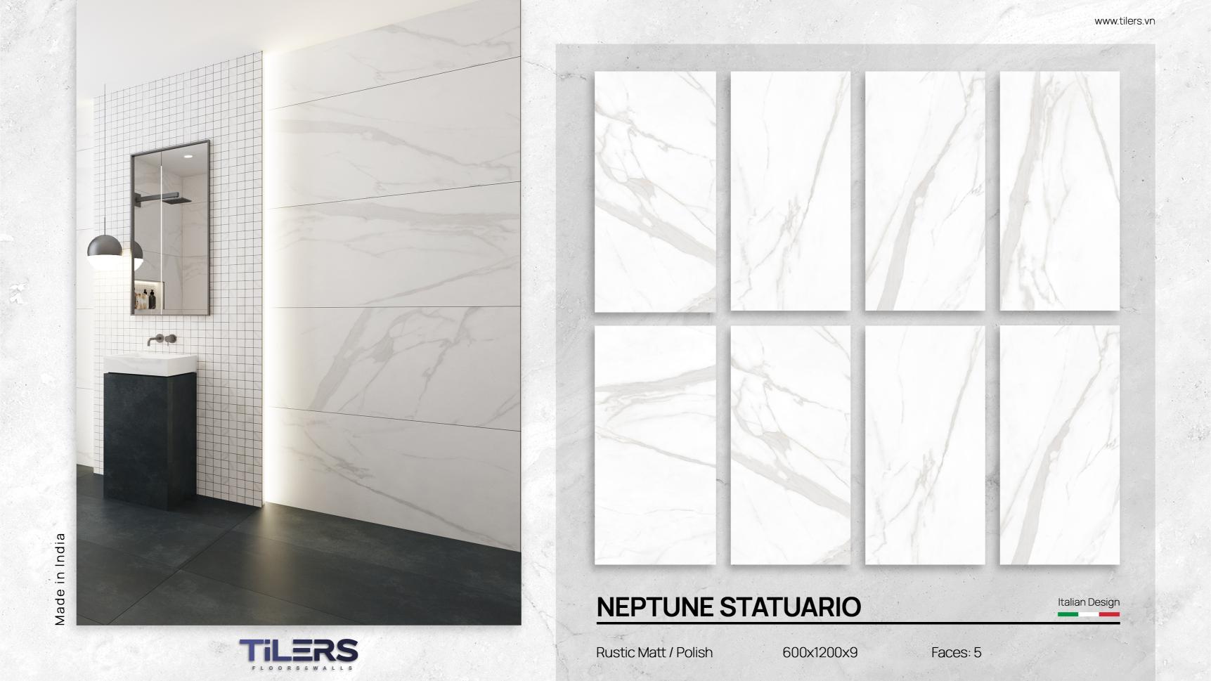 NEPTUNE STATUARIO - POLISH 0612 (2)