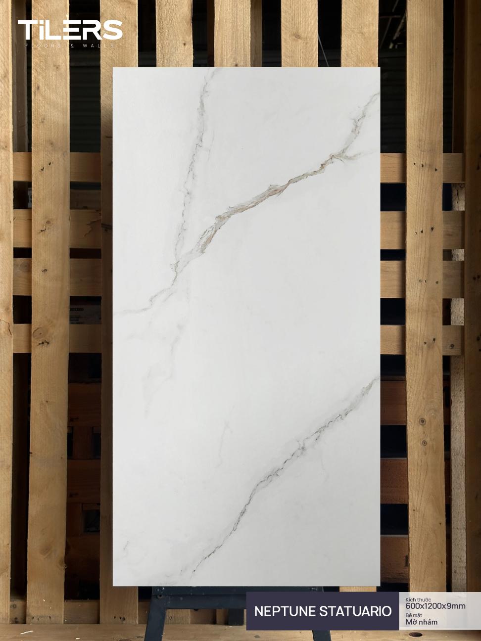 NEPTUNE STATUARIO - RUSTIC MATT 0612 (1)
