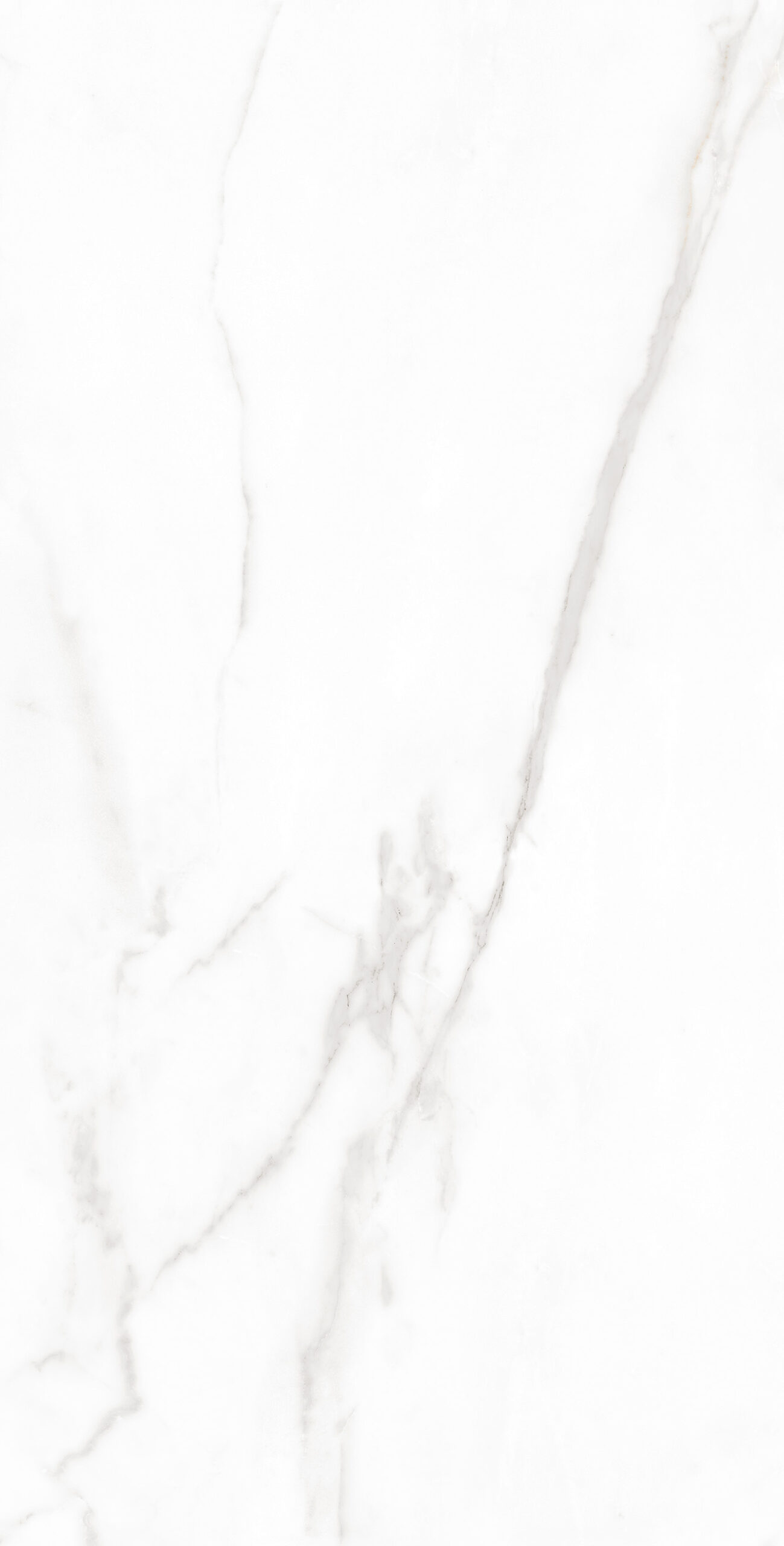 Neptune Statuario_F2