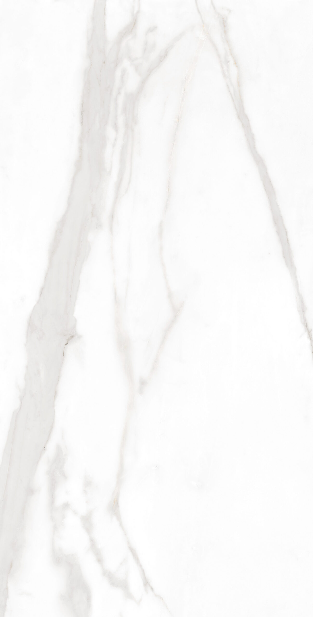 Neptune Statuario_F4