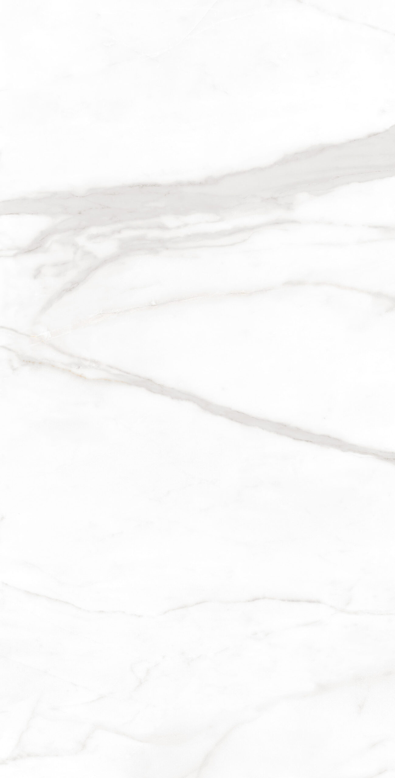 Neptune Statuario_F5