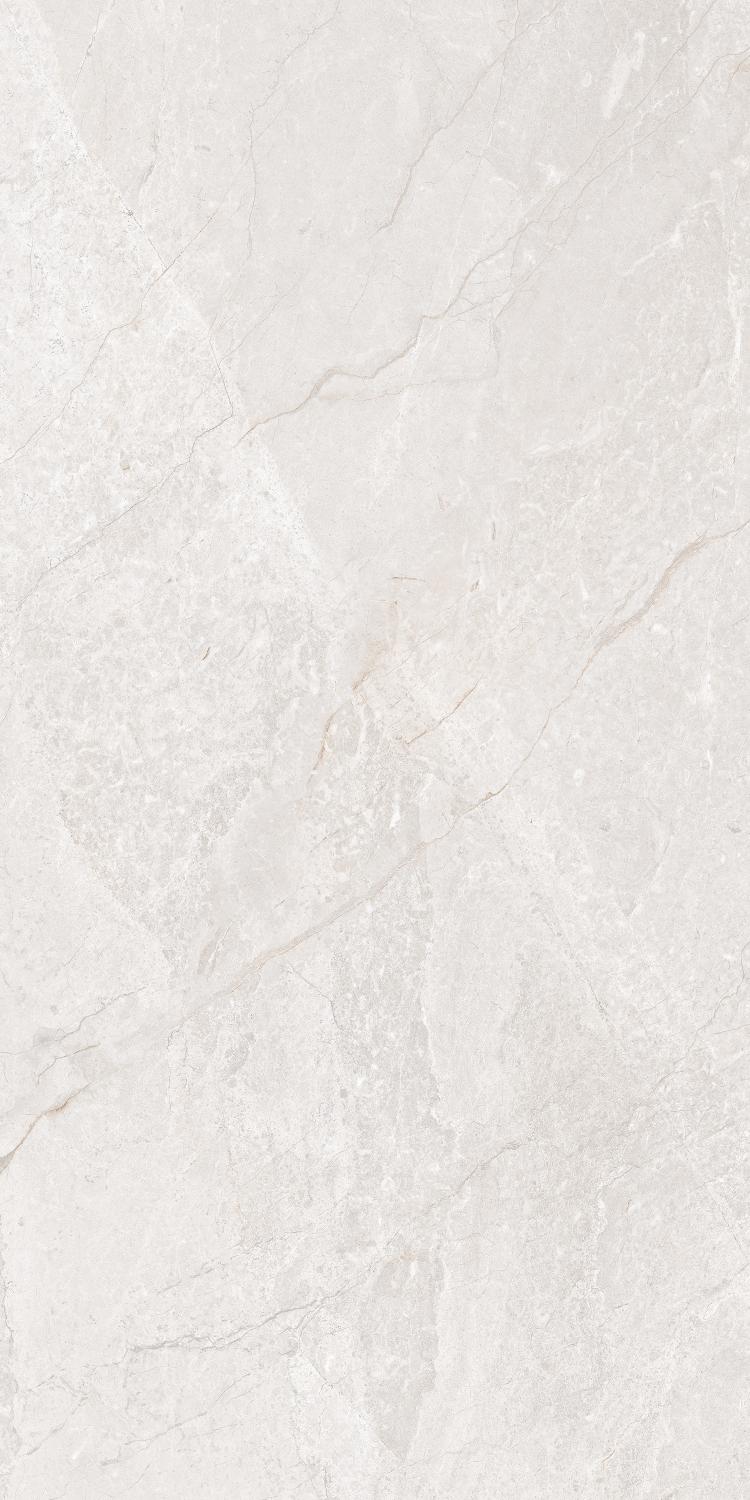 ORION WHITE_F6