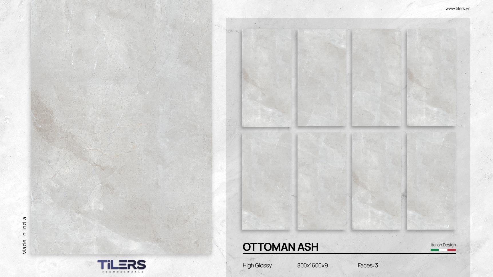 OTTOMAN ASH - HIGH GLOSSY 0816 (2)