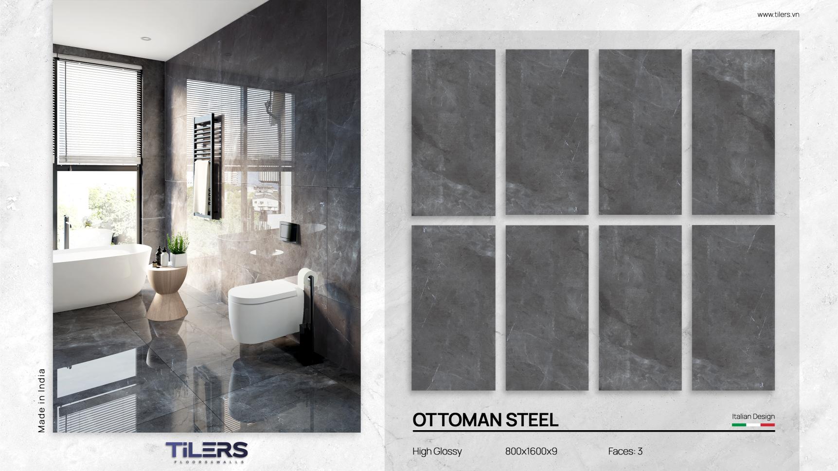 OTTOMAN STEEL - HIGH GLOSSY 0816 (2)