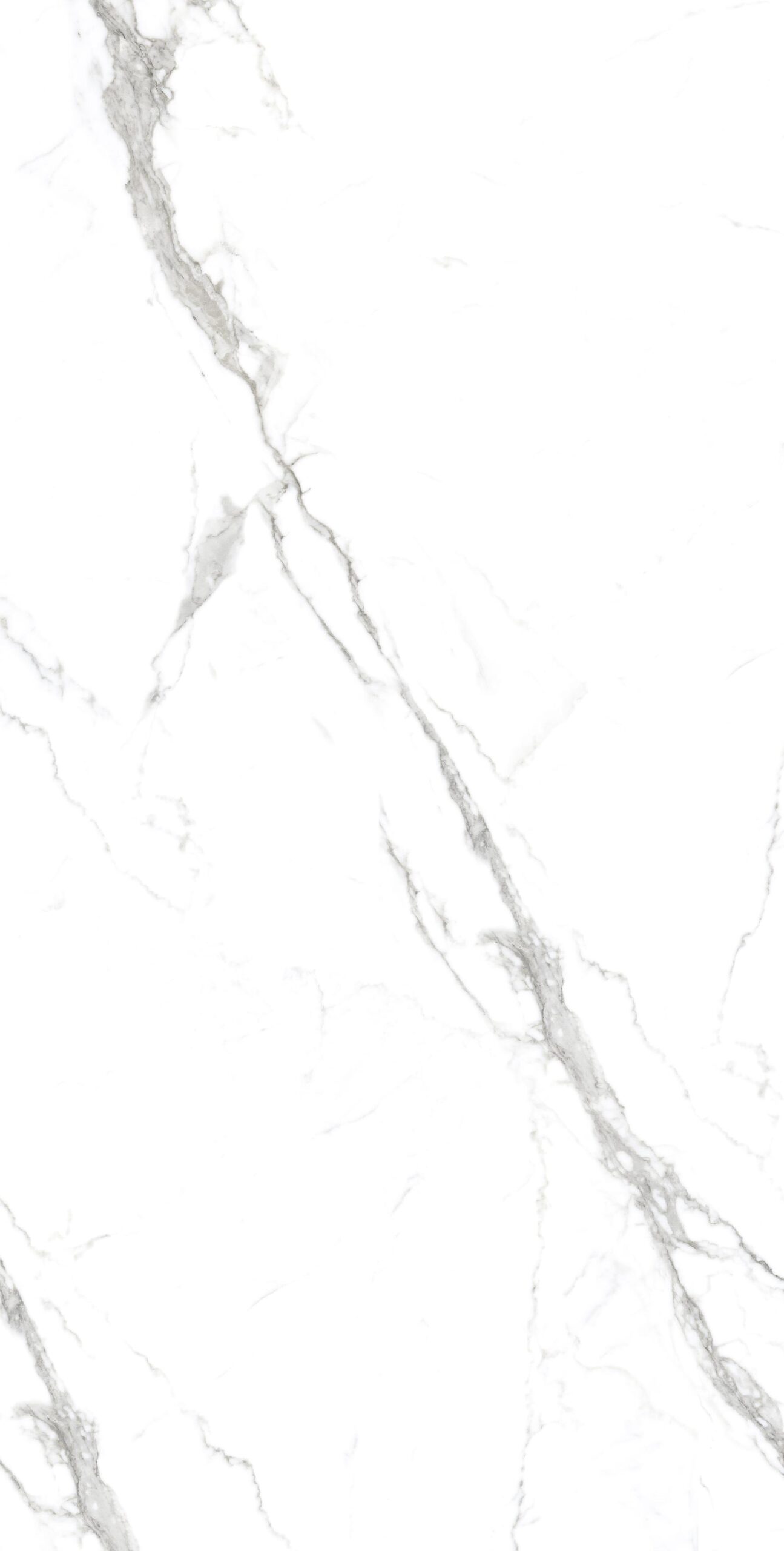 STATUARIO SPIDER 1