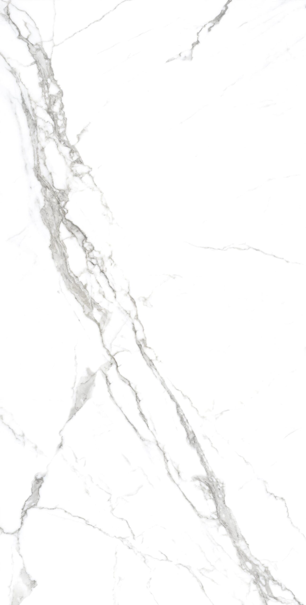 STATUARIO SPIDER 2