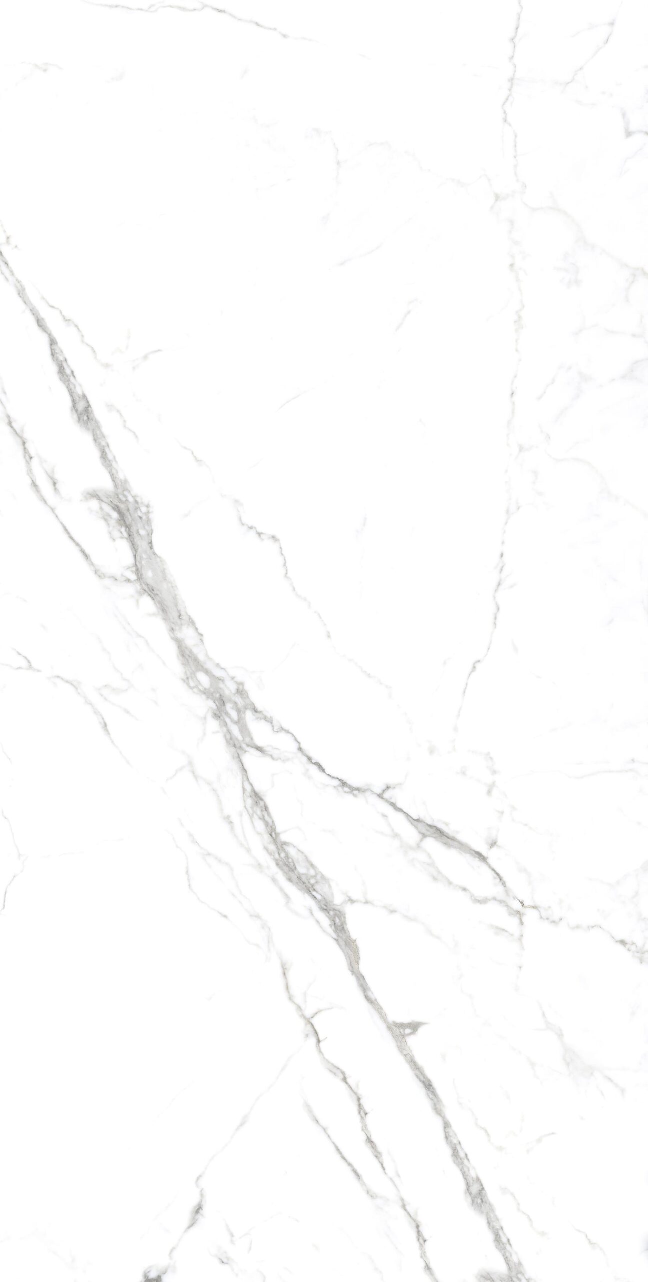 STATUARIO SPIDER 4