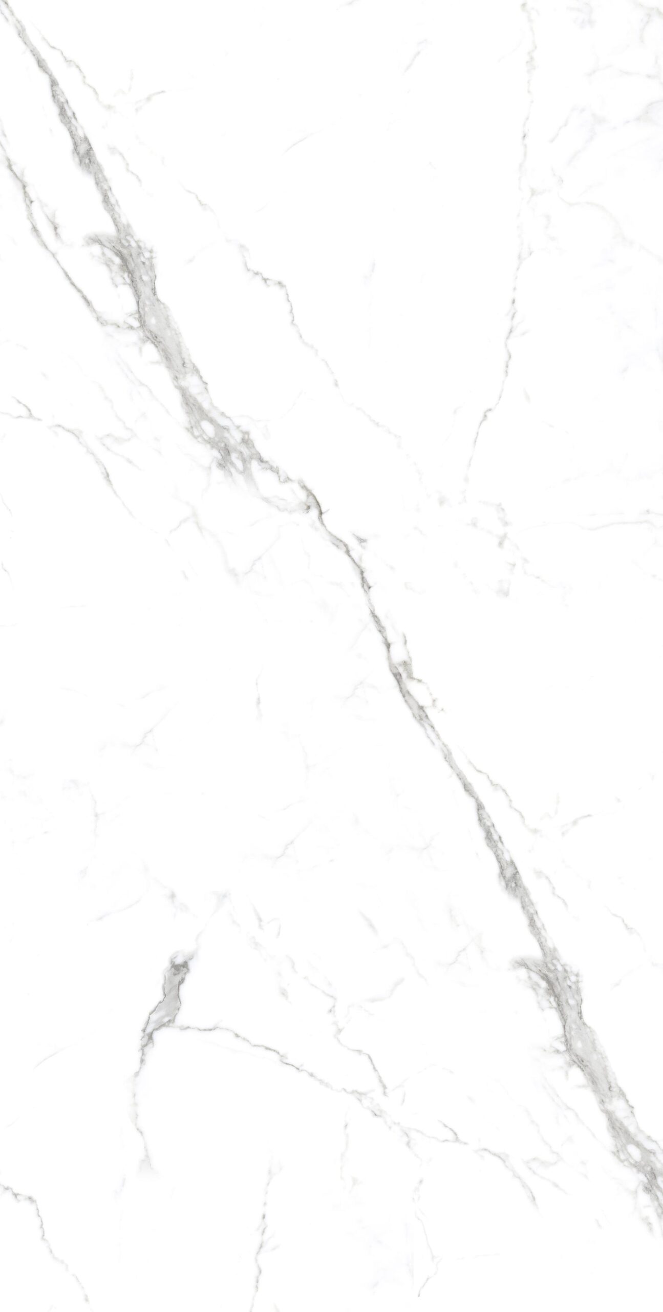 STATUARIO SPIDER 5