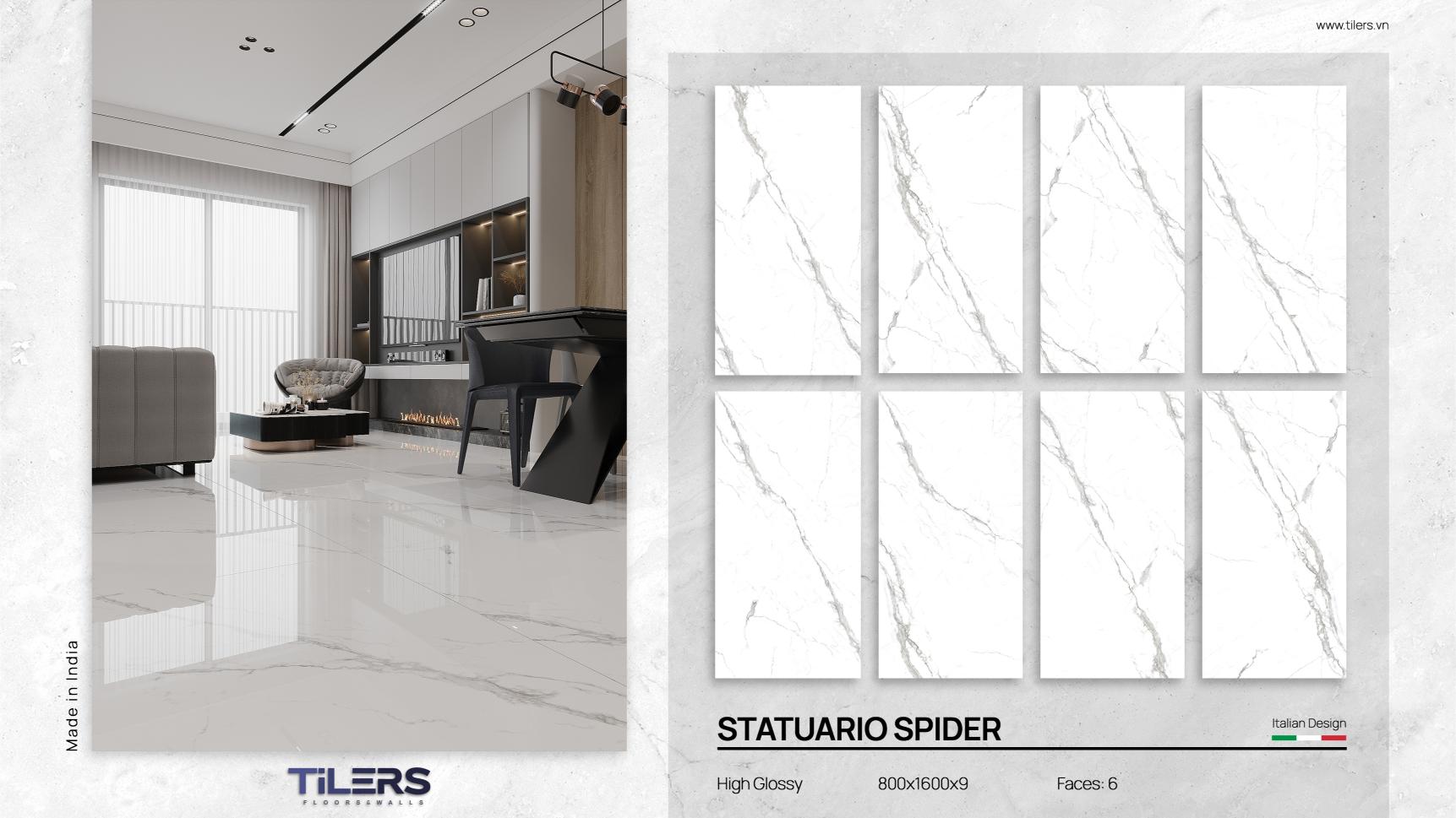 STATUARIO SPIDER - POLISH 0816 (2)