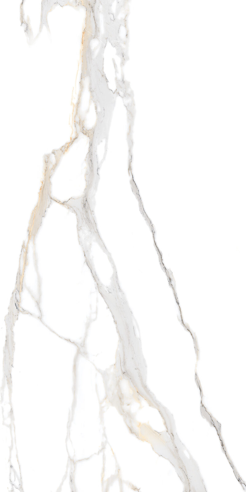 SUMMER WHITE_2