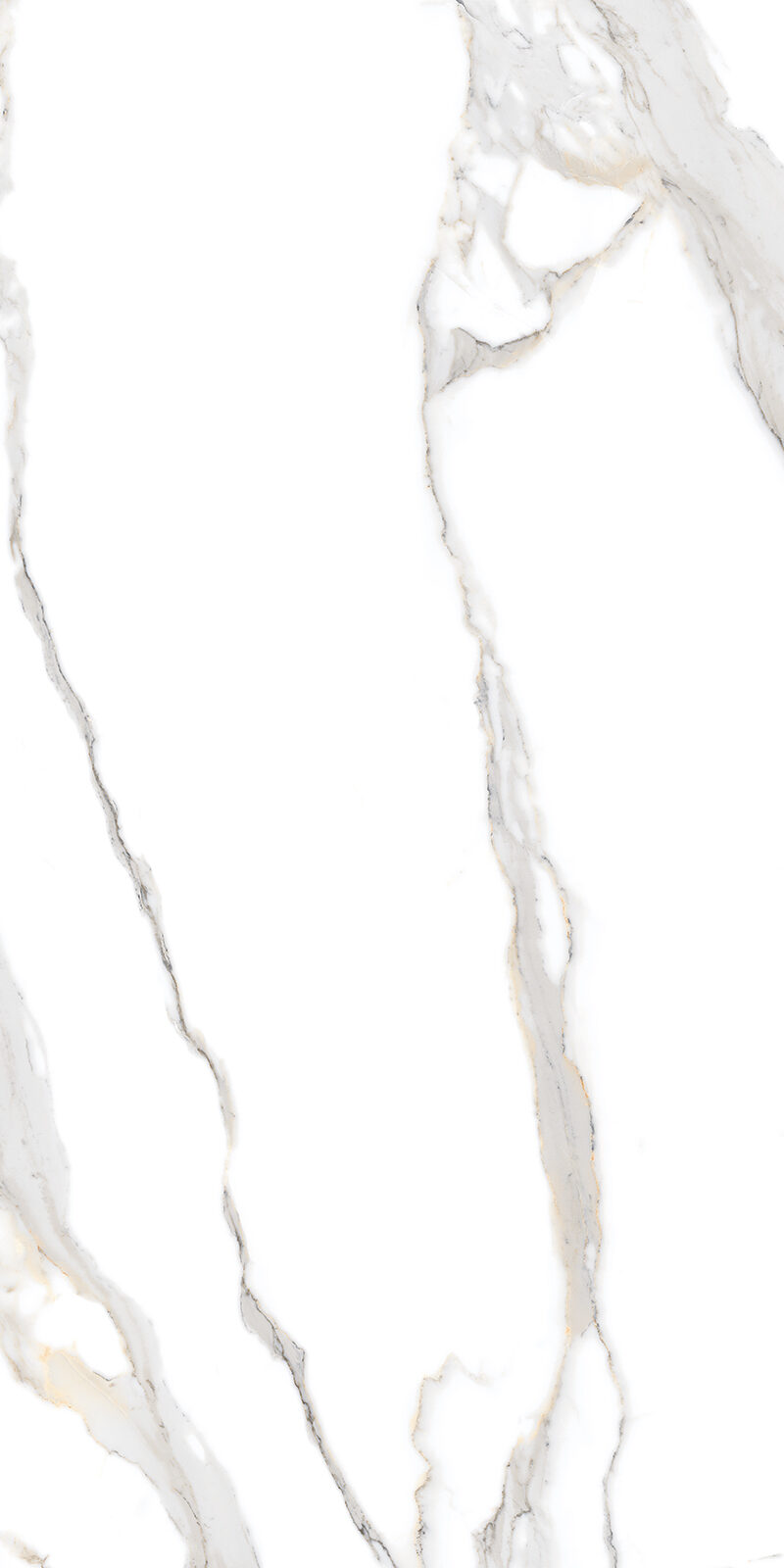 SUMMER WHITE_3