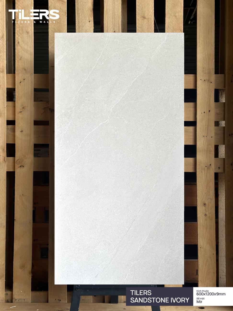TILERS SANDSTONE IVORY MATT ZR 0612 (1)