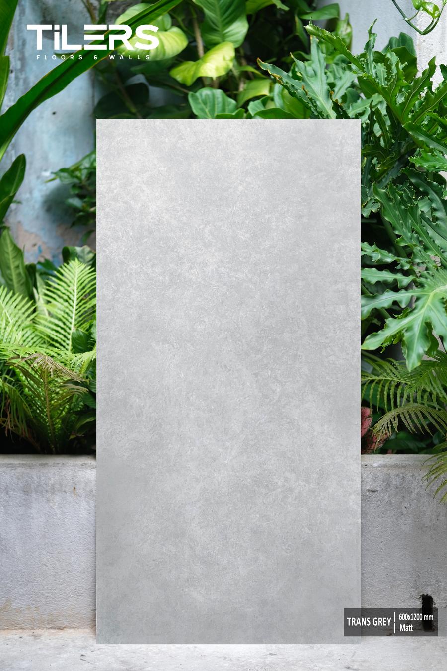 TRANS GREY - MATT 0612 (1)